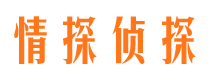 雷州找人公司